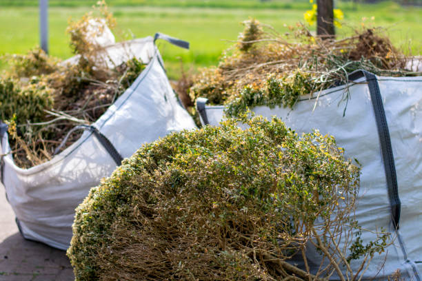 Best Dumpster Rental Services  in Poplarville, MS